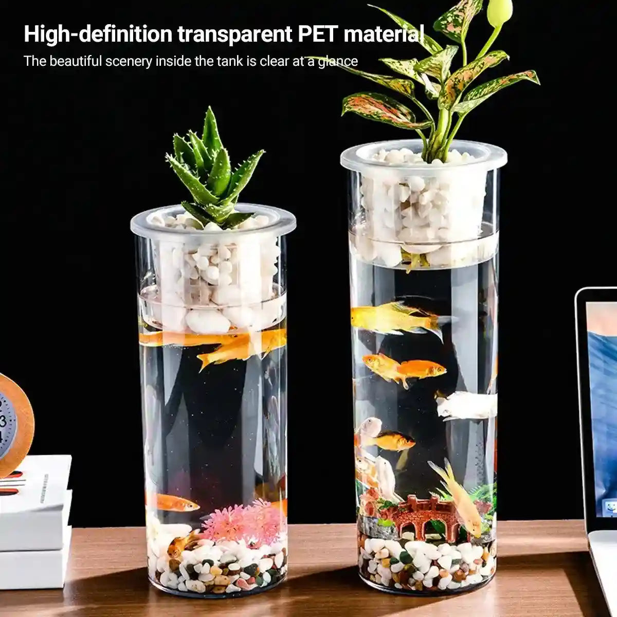 Modern Hydroponic Fish Tank with Cylindrical Design