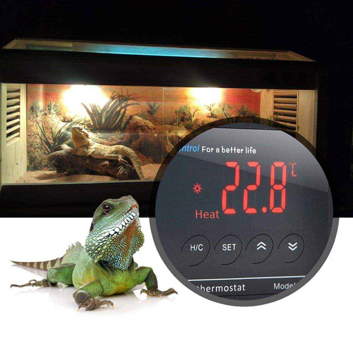 Reliable Aquarium Temperature Controllers with Dual Socket and Digital Display
