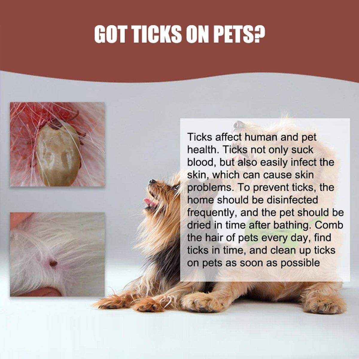 Pet Tick Remover Pen - 2 Pack