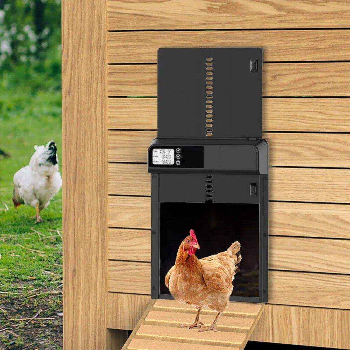 Automatic Chicken Coop Door with Stainless Steel Design for Poultry Safety