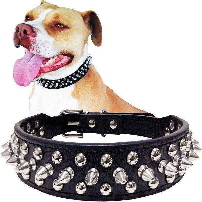 Studded Leather Dog Collar Stylish & Protective Designer Dog Collars