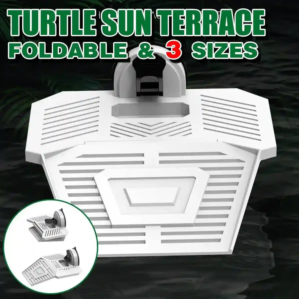 Detachable Tortoise Drying Platform with Climbing Ramp