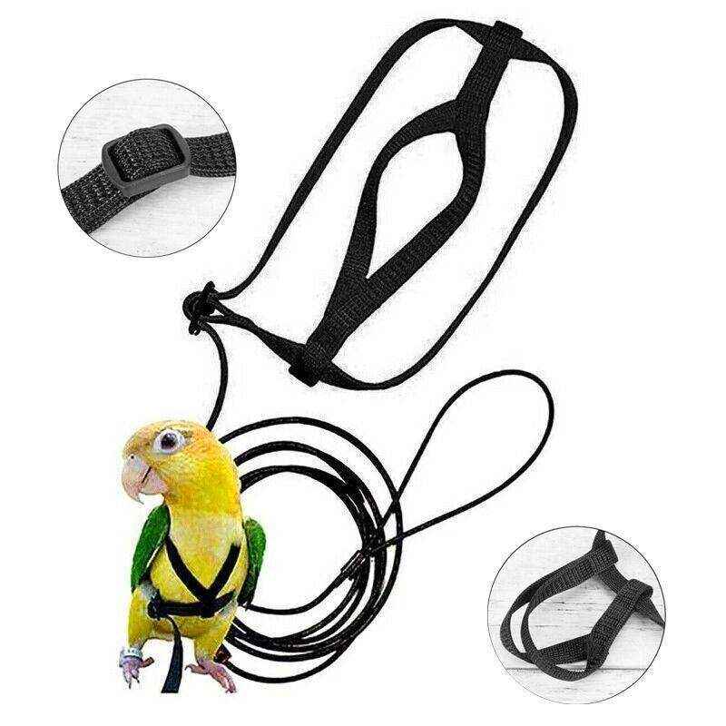 Outdoor Parrot Harness with Adjustable Bird Leash for Safe Flying