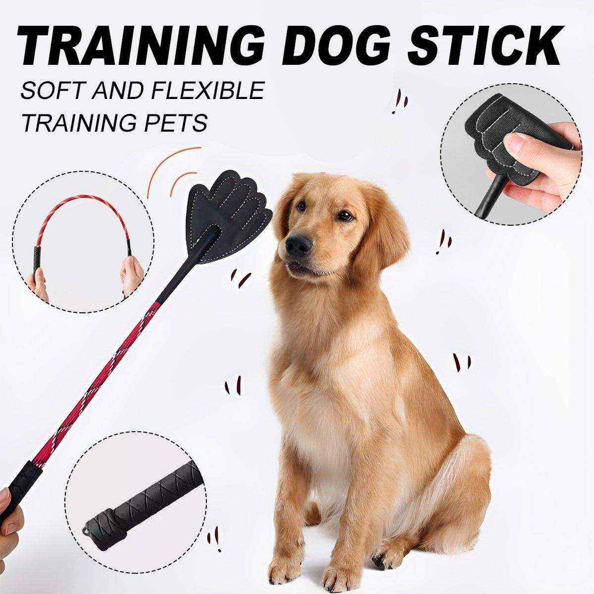 Flexible Dog Training Stick 43cm Soft Behavior Correction Tool for Pets