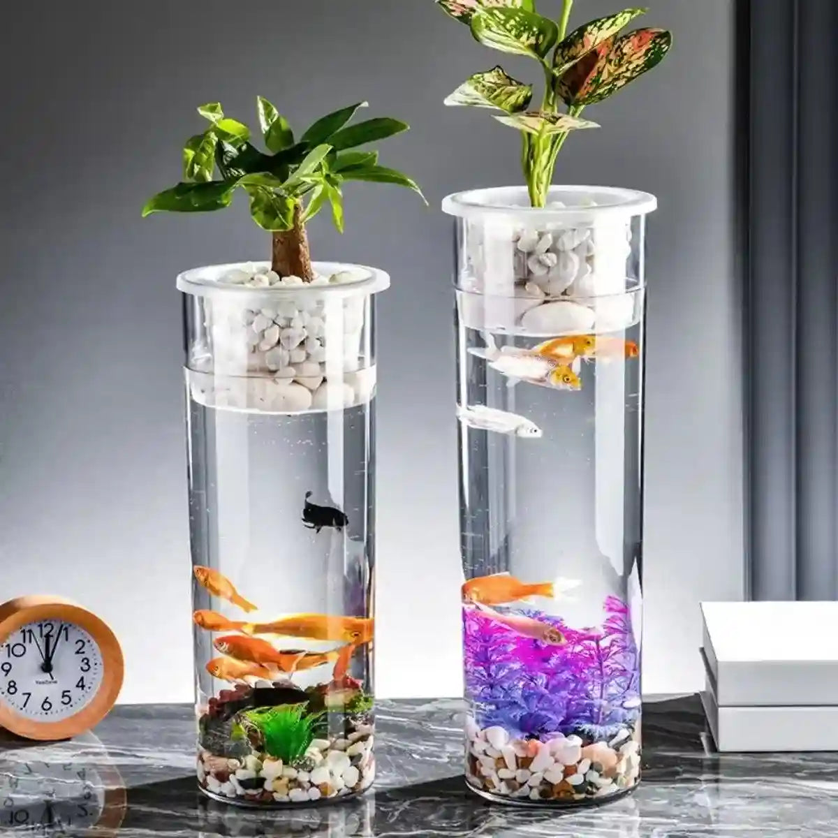 Modern Hydroponic Fish Tank with Cylindrical Design