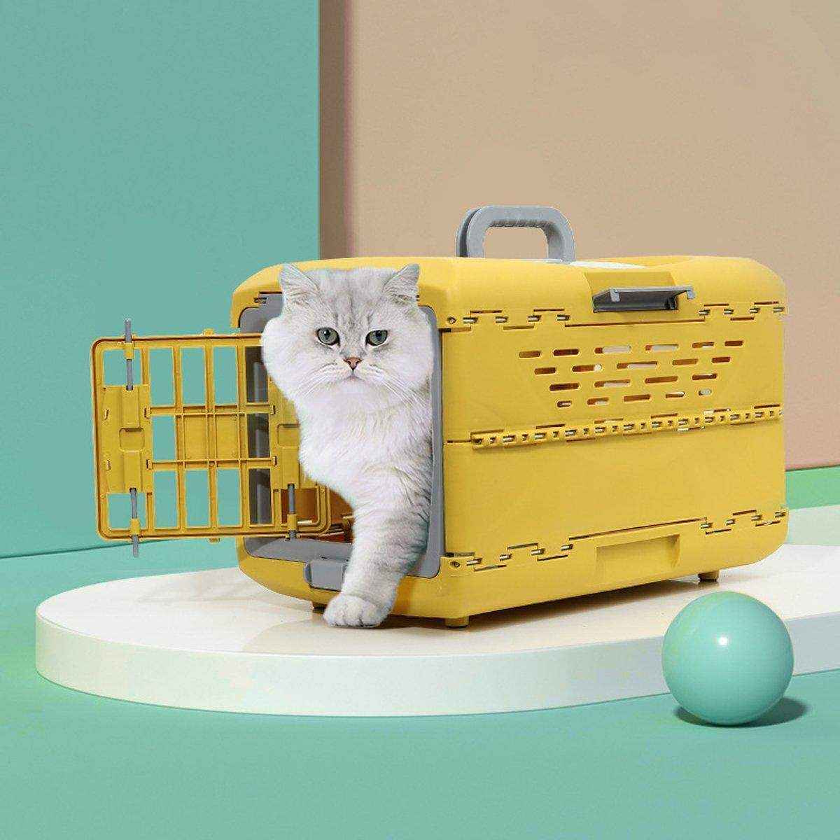 Pet Air Box Folding Portable Dog Cat Crate