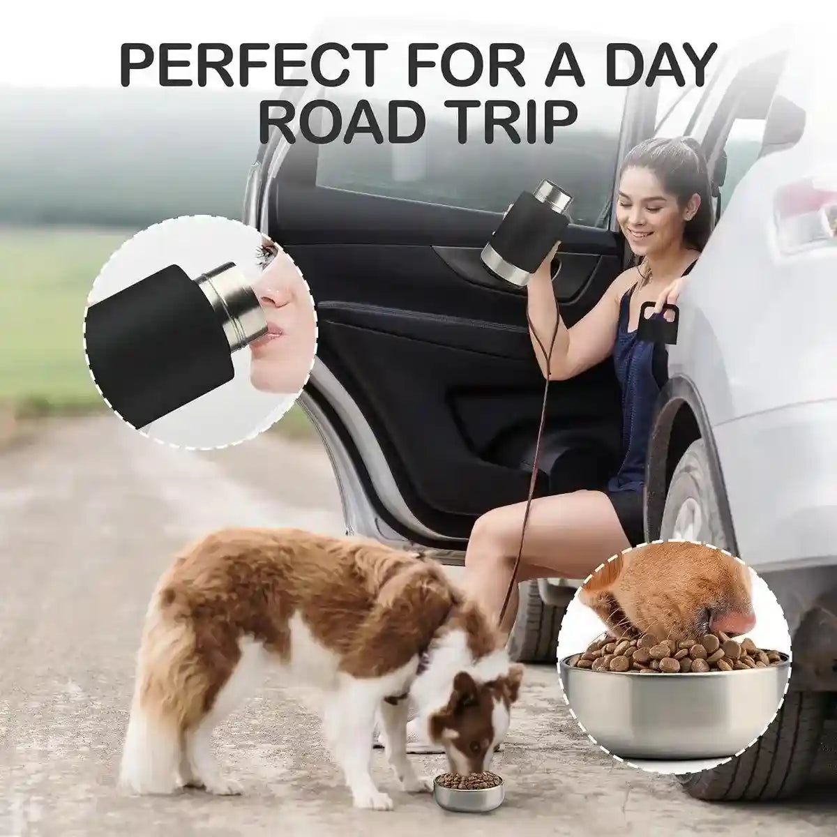 Stainless Steel Pet Thermos Portable Hydration & Food Bowl for Pets