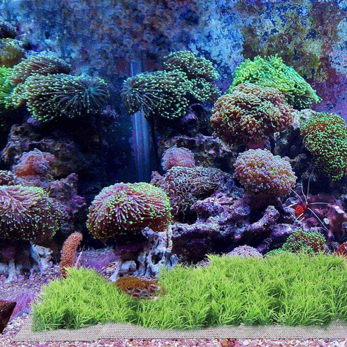 10pcs Stainless Steel Wire Mesh for Water Plants Fish Tank Aquarium Decoration