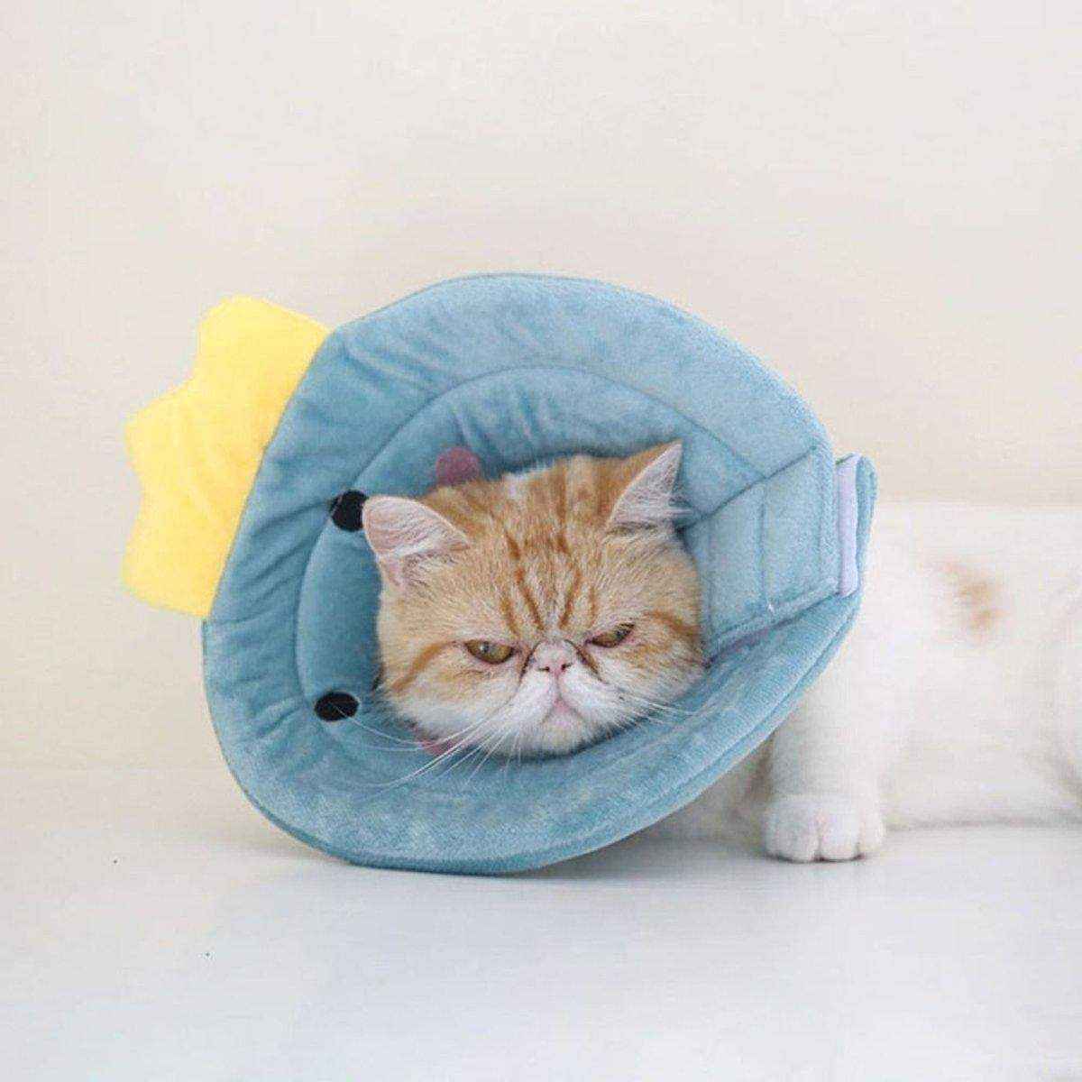 Elizabeth Circle Cat Sterilization Collar