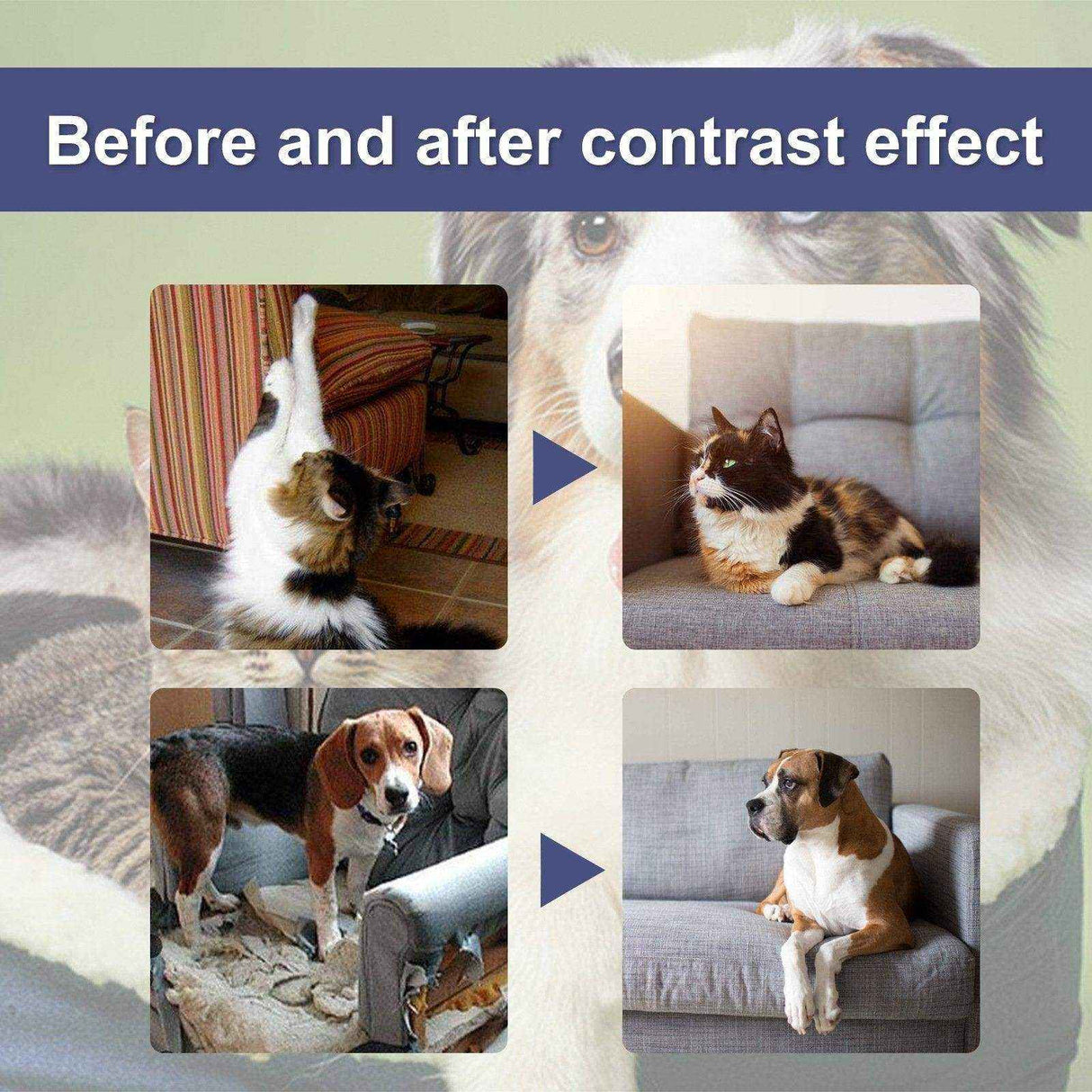 Pet Anti-Scratch Spray Protect Doors Sofas & Set Boundaries for Cats & Dogs