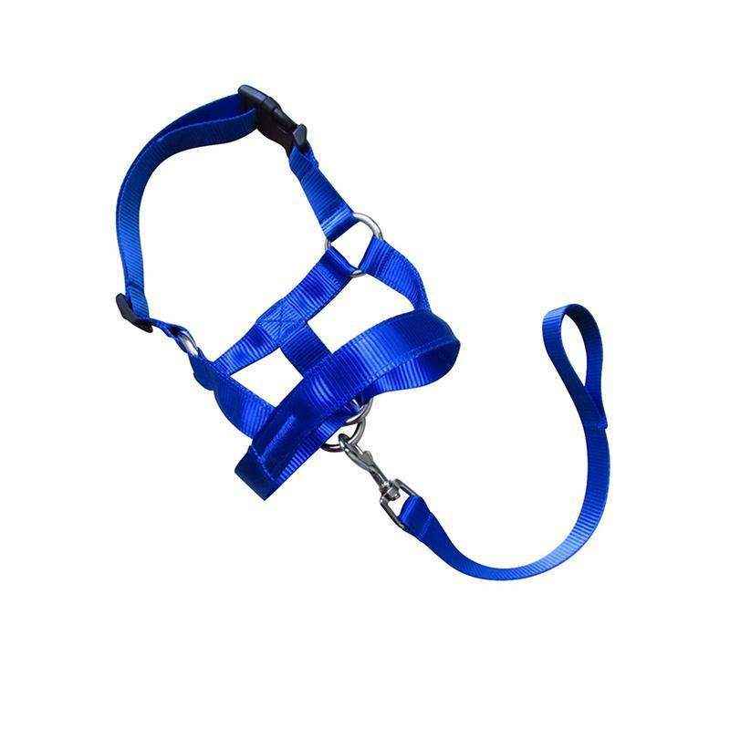 Adjustable Dog Muzzle Head Halter for Anti-Pull Training & Control