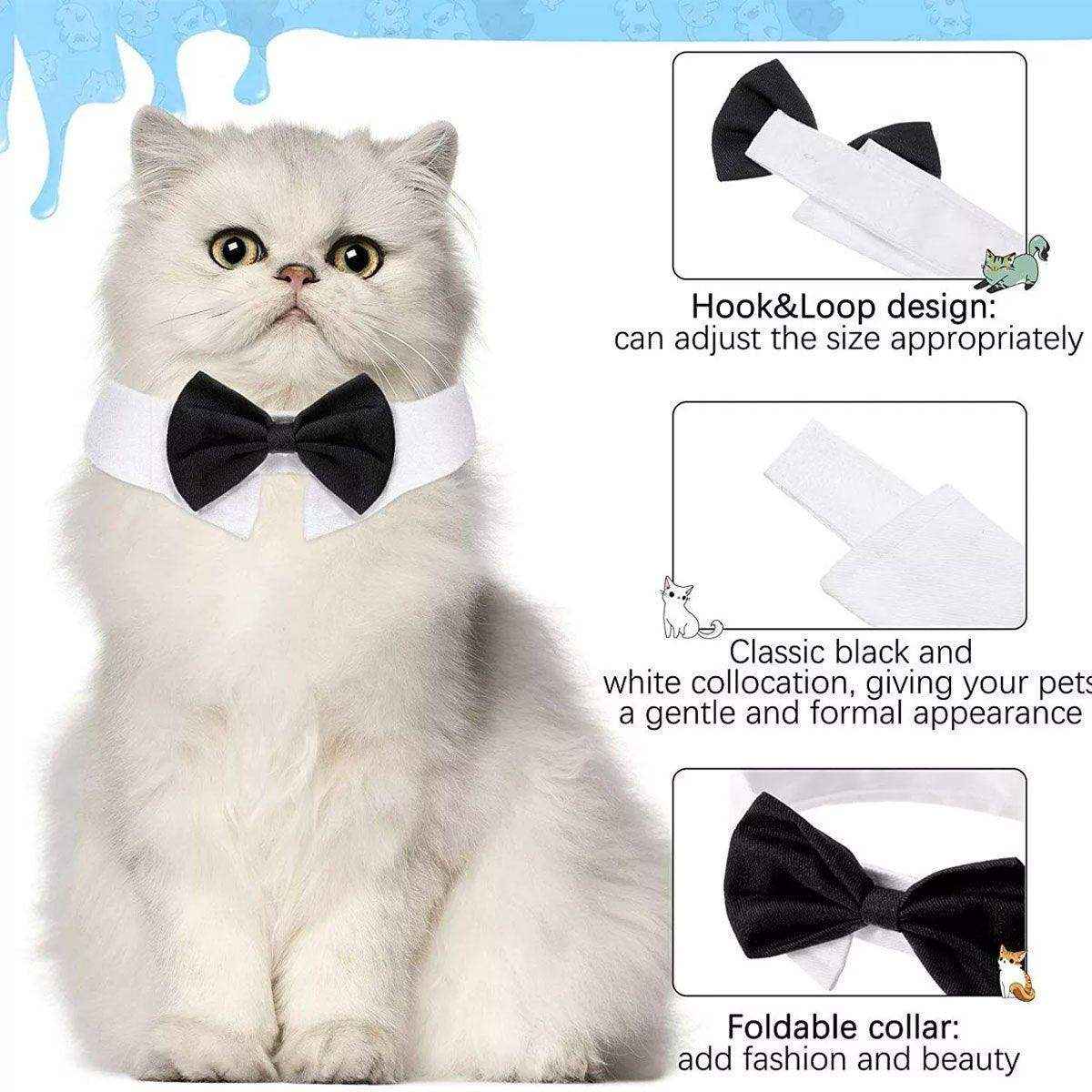 Designer Dog Collars & Designer Cat Collar Set Bow Tie and Necktie Design