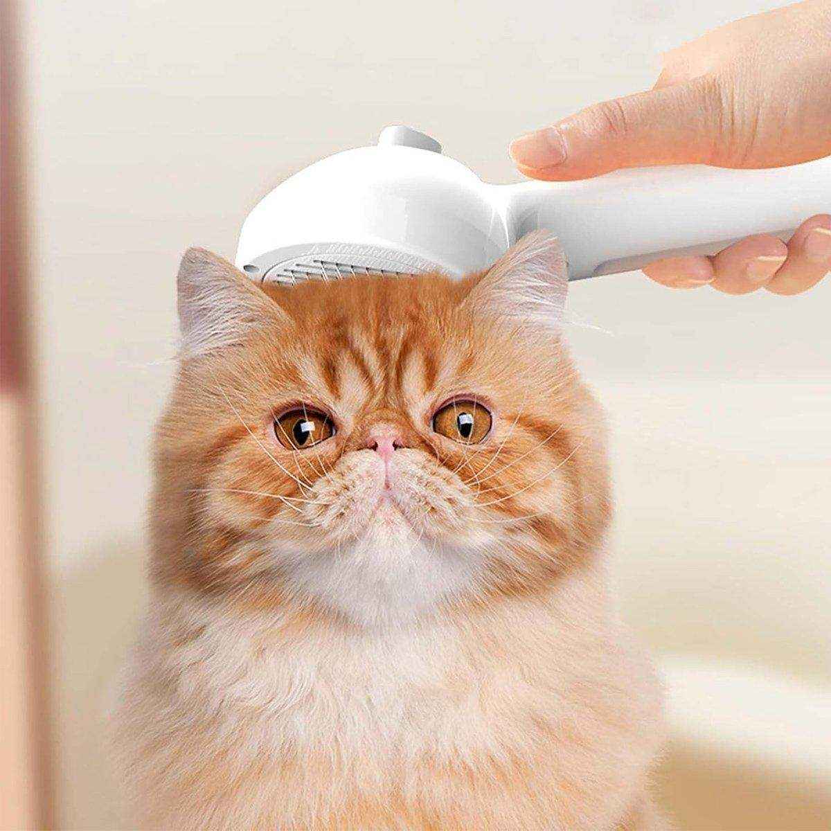 2 in 1 Spray Cat Brush for Grooming & Detangling Cat Vacuum Brush for Pets