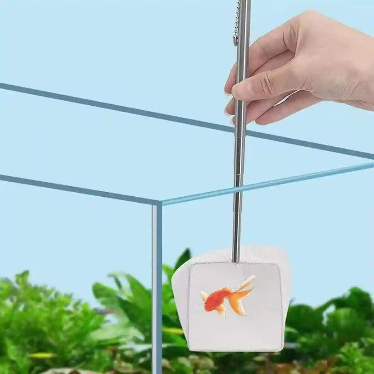 Stainless Steel Retractable Aquarium Fish Net - Telescopic Fish Scoop