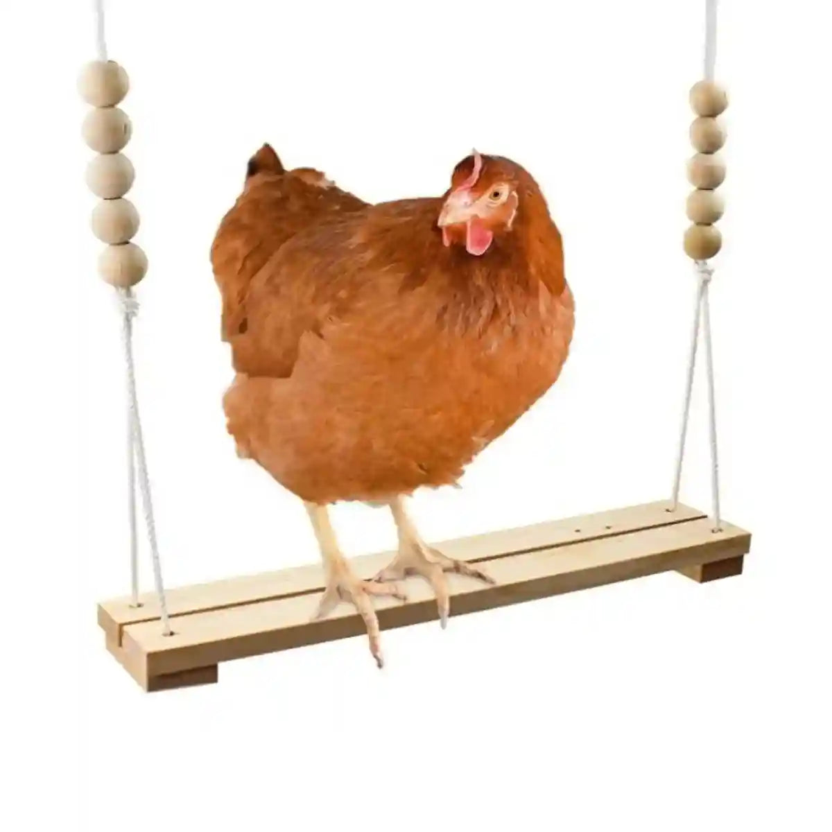 Durable Wooden Chicken Swing for Outdoor Poultry Coops