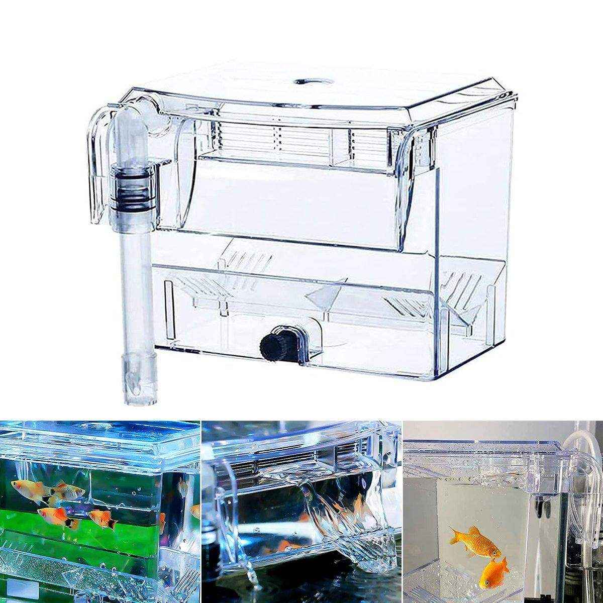 Durable Outboard Fish Isolation Box for Breeding and Protection