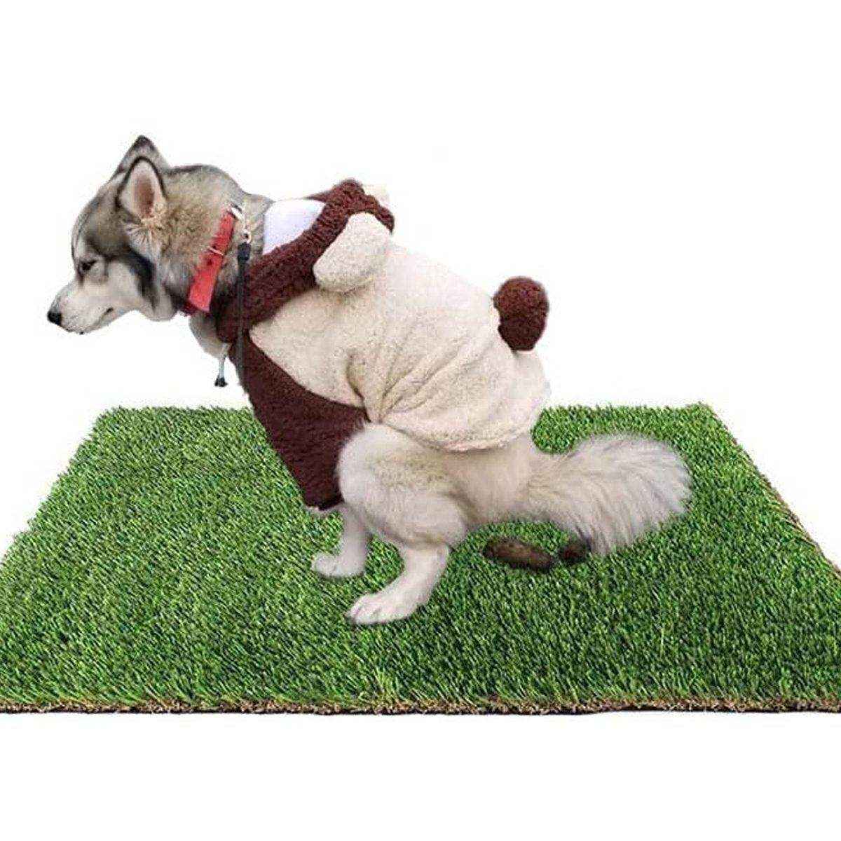 Pet Lawn Urine Mat Dog Toilet Fake Lawn Urine Mat