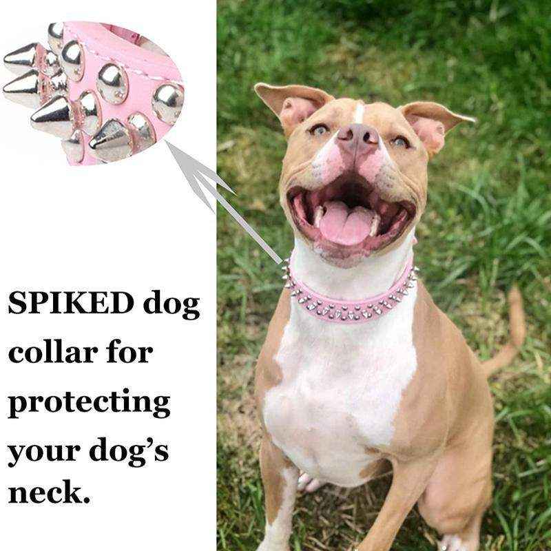 Studded Leather Dog Collar Stylish & Protective Designer Dog Collars