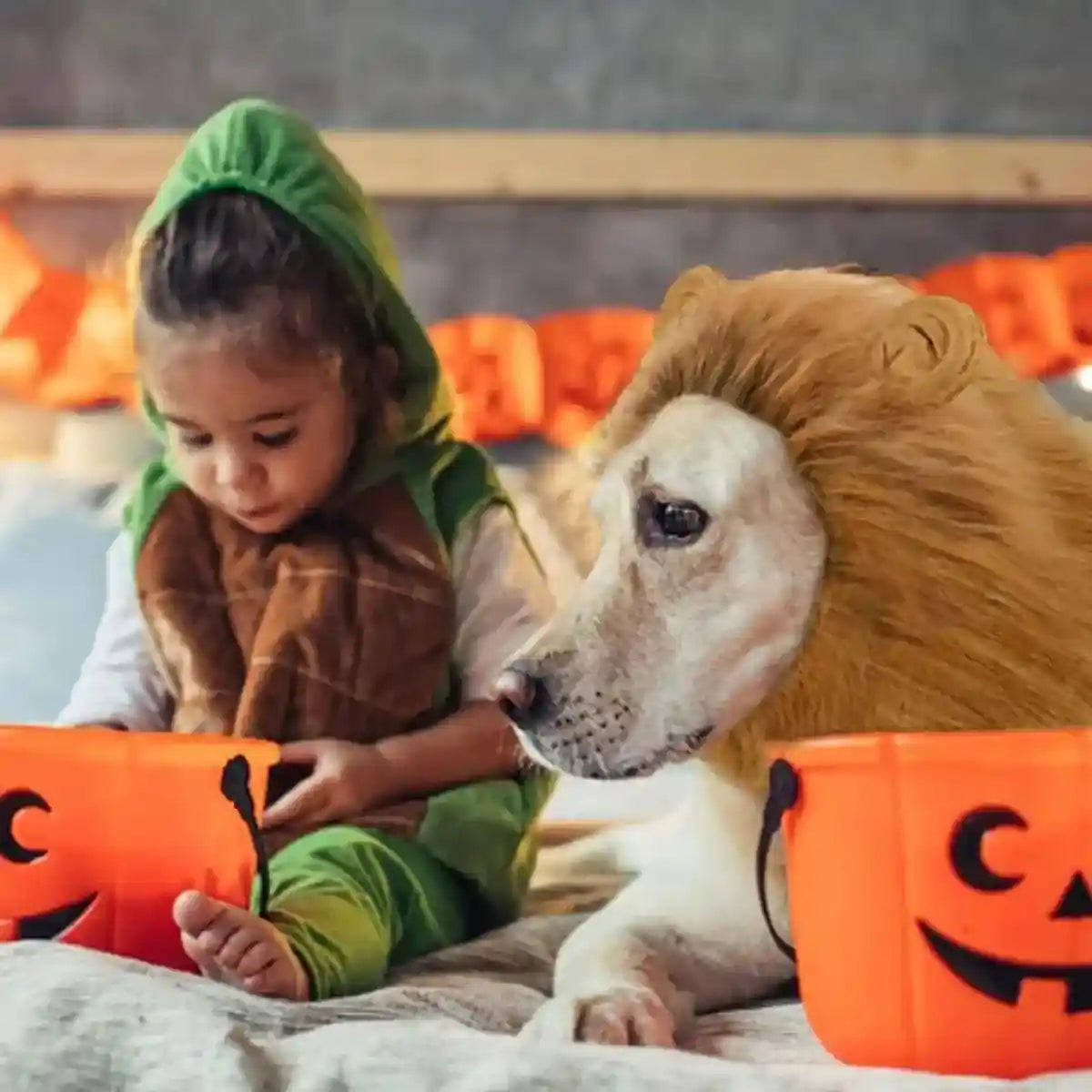 Lion Costume Mane Wig Large Dog Fancy Dress Up Party for Pet Halloween Clothes