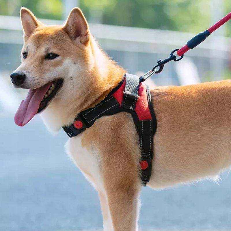 Adjustable No-Pull Dog Harness Vest with Reflective Trim for Safe Walking.
