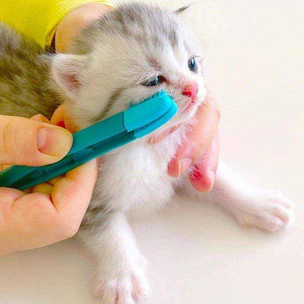 Tear Stain Remover Silicone Pet Eye Brush Grooming Tool for Cats Dogs Cleaning