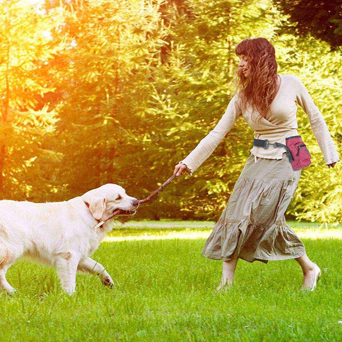 Pet Training Bag & Dog Walking Waist Bag Multi-use Garbage Collection Bag