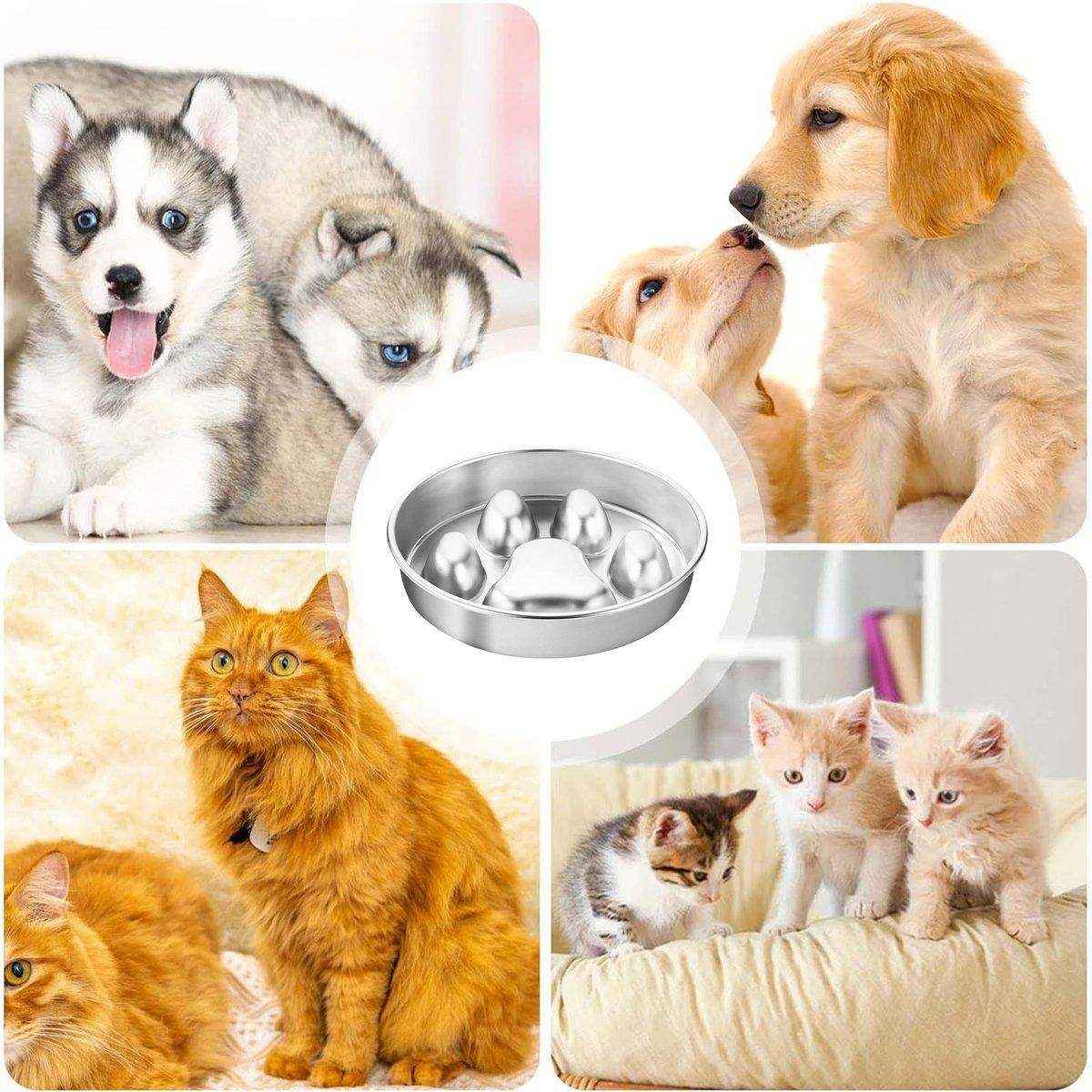 Durable Stainless Steel Slow Feeder Dog Bowl Anti-Bloat & Healthy Eating