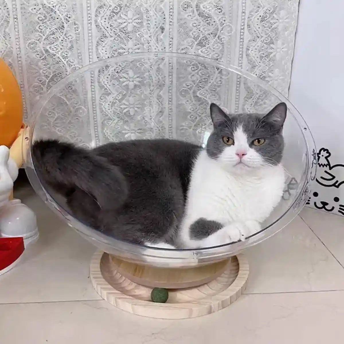 Acrylic Space Capsule Cat Bed Semi-closed Cool Nest Turntable Toy