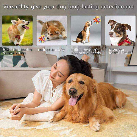 Interactive Dog Ball - Stimulating Toy for Your Canine Companion