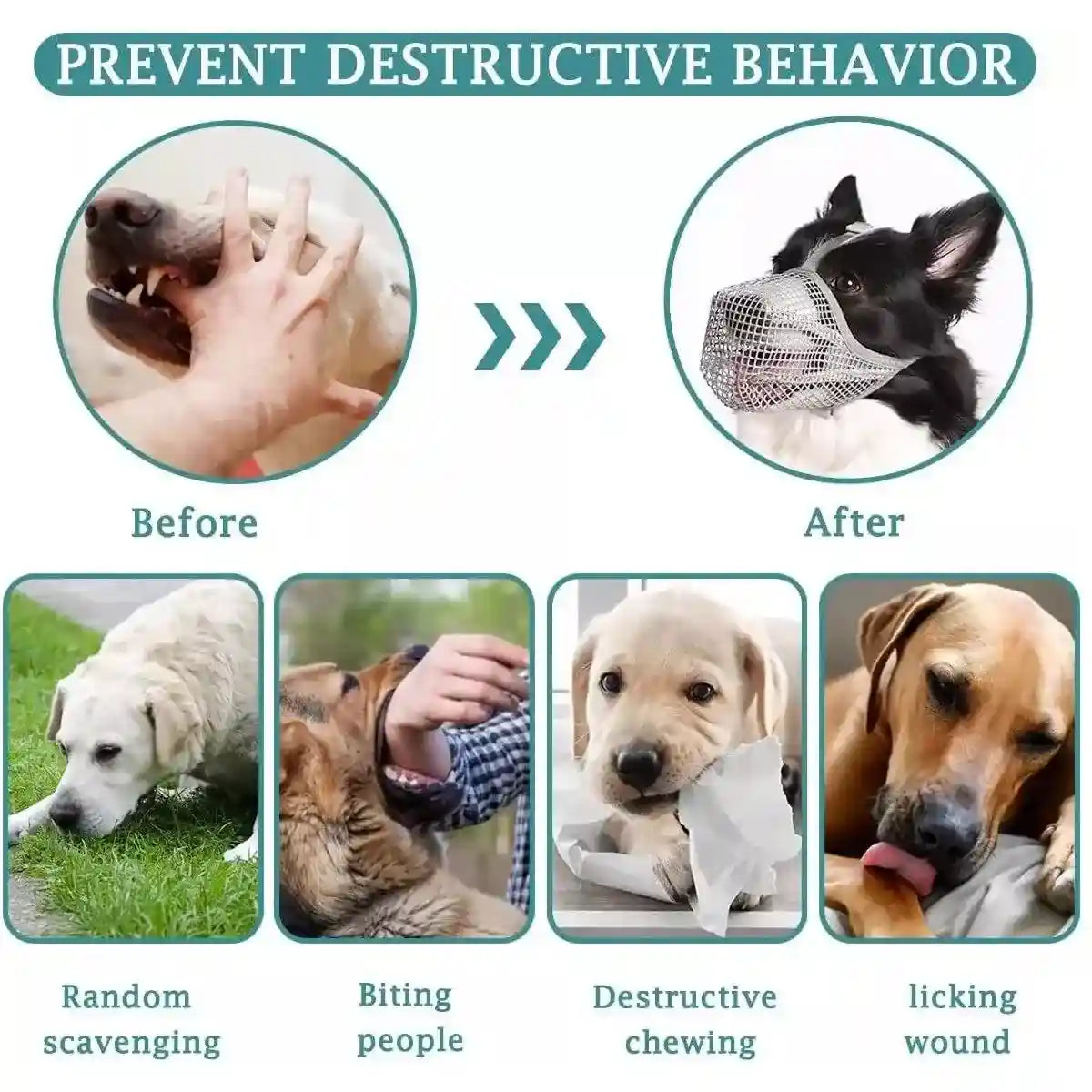 2PCS Adjustable Mesh Dog Muzzle Set Breathable Anti-Bite Muzzles