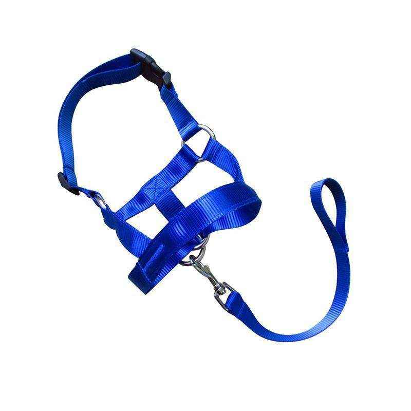 Adjustable Dog Muzzle Head Halter for Anti-Pull Training & Control