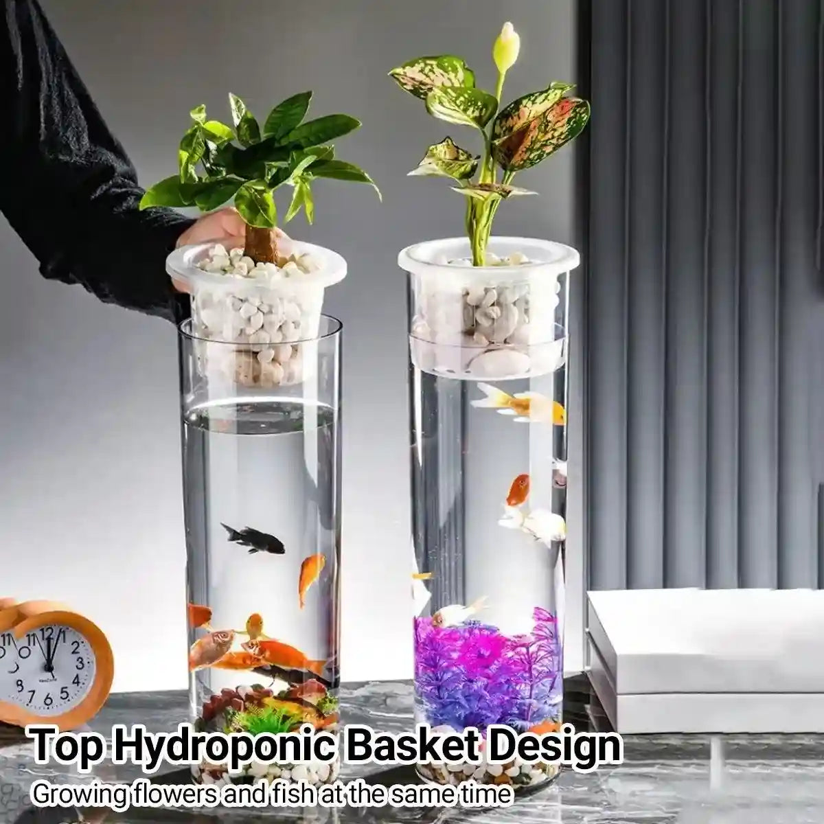Modern Hydroponic Fish Tank with Cylindrical Design