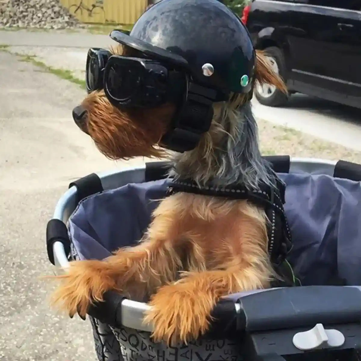 Pet Helmet New Motorcycle Helmet Dog Cat Accessories Pet Toy Hat Headwear