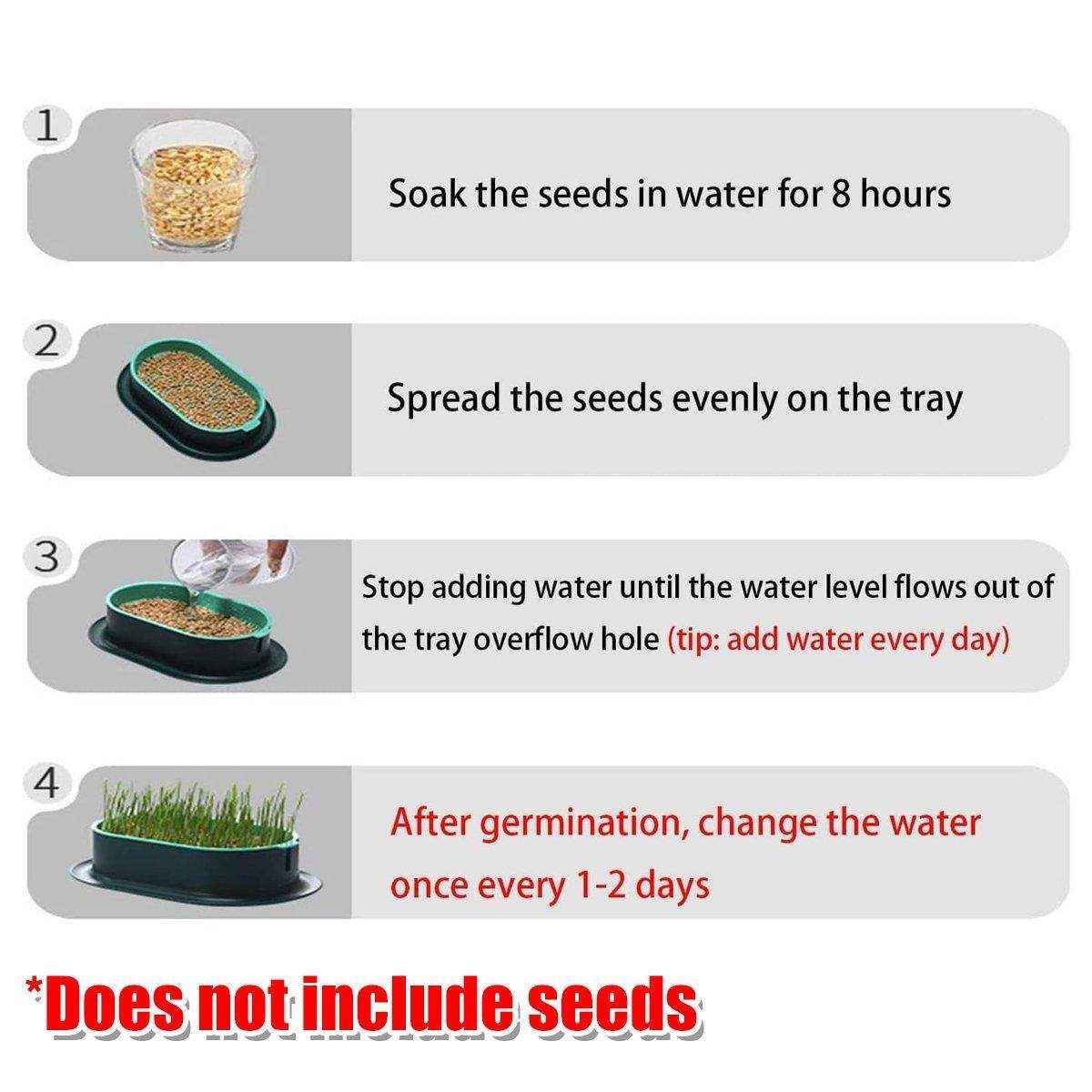 Stylish Hydroponic Catnip Growing Box