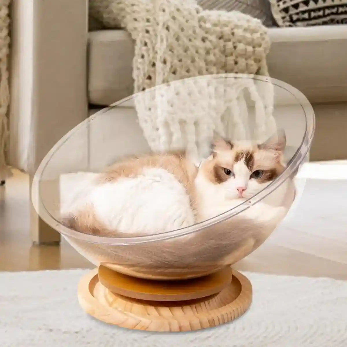 Acrylic Space Capsule Cat Bed Semi-closed Cool Nest Turntable Toy