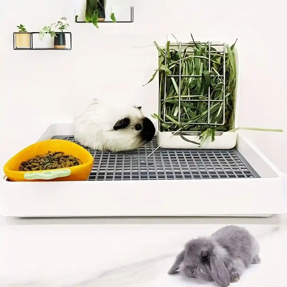 Large Rabbit Litter Box with High-Sided Design