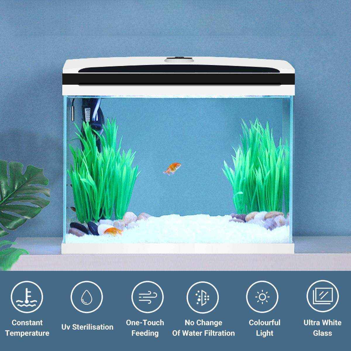 Advanced Smart Fish Tank with Self-Cleaning & LED Lights