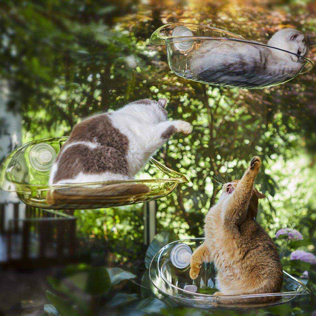 Cat Nest Cat Hammock Space Capsule Cat Bed Window Cat Sunrise Hanging Bed