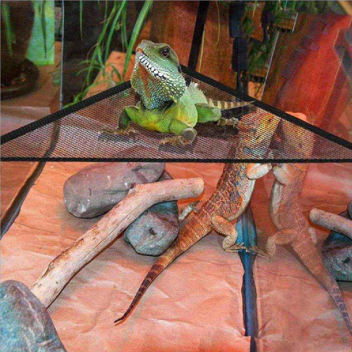 2x Reptile Hammock for Small Large Bearded Dragon Lizard Reptile Snakes Black