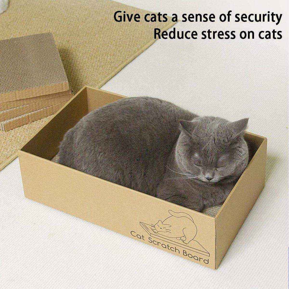 Cat Scratching Boards with Cardboard Box - 5 Pieces Set