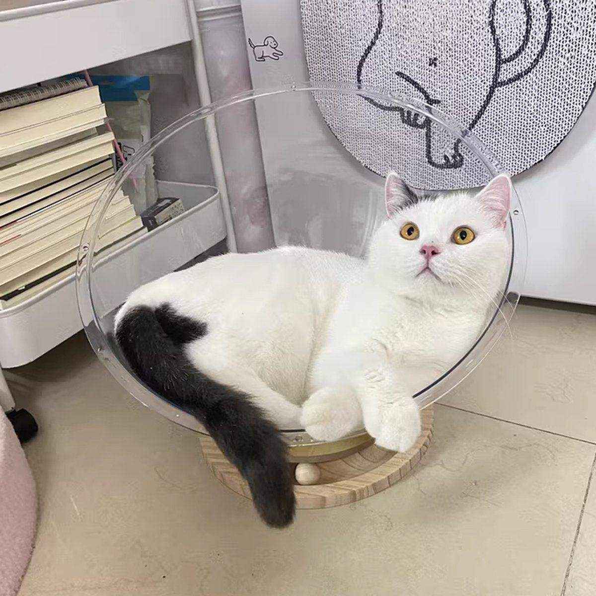 Acrylic Space Capsule Cat Bed Semi-closed Cool Nest Turntable Toy