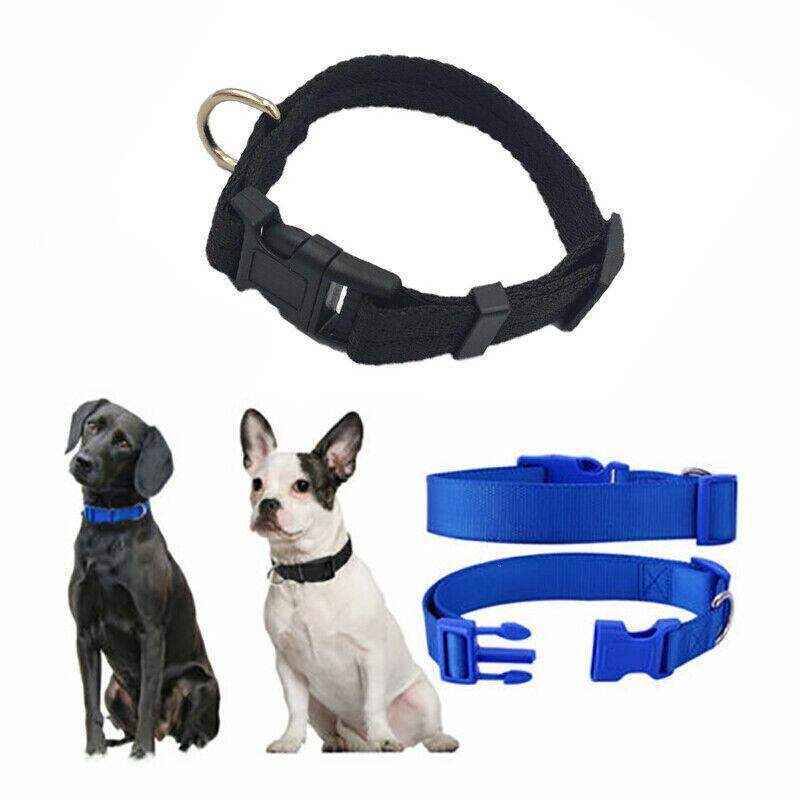Adjustable Puppy Collar & Dog Collar Soft Durable Nylon in 5 Colours