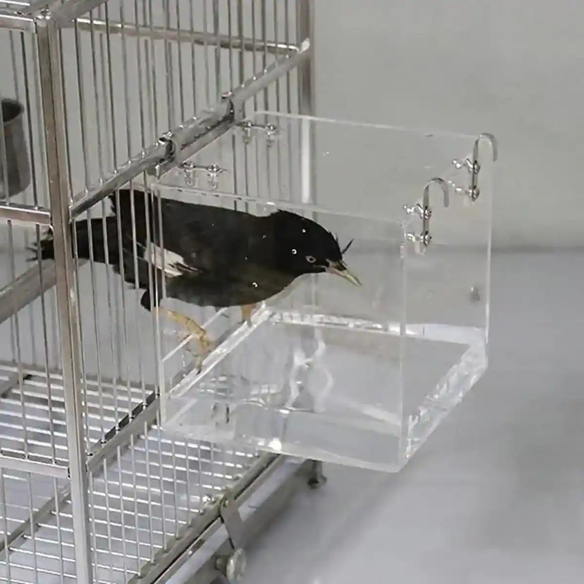 Acrylic Bird Bath Tub Durable Compact & Easy-to-Clean Design