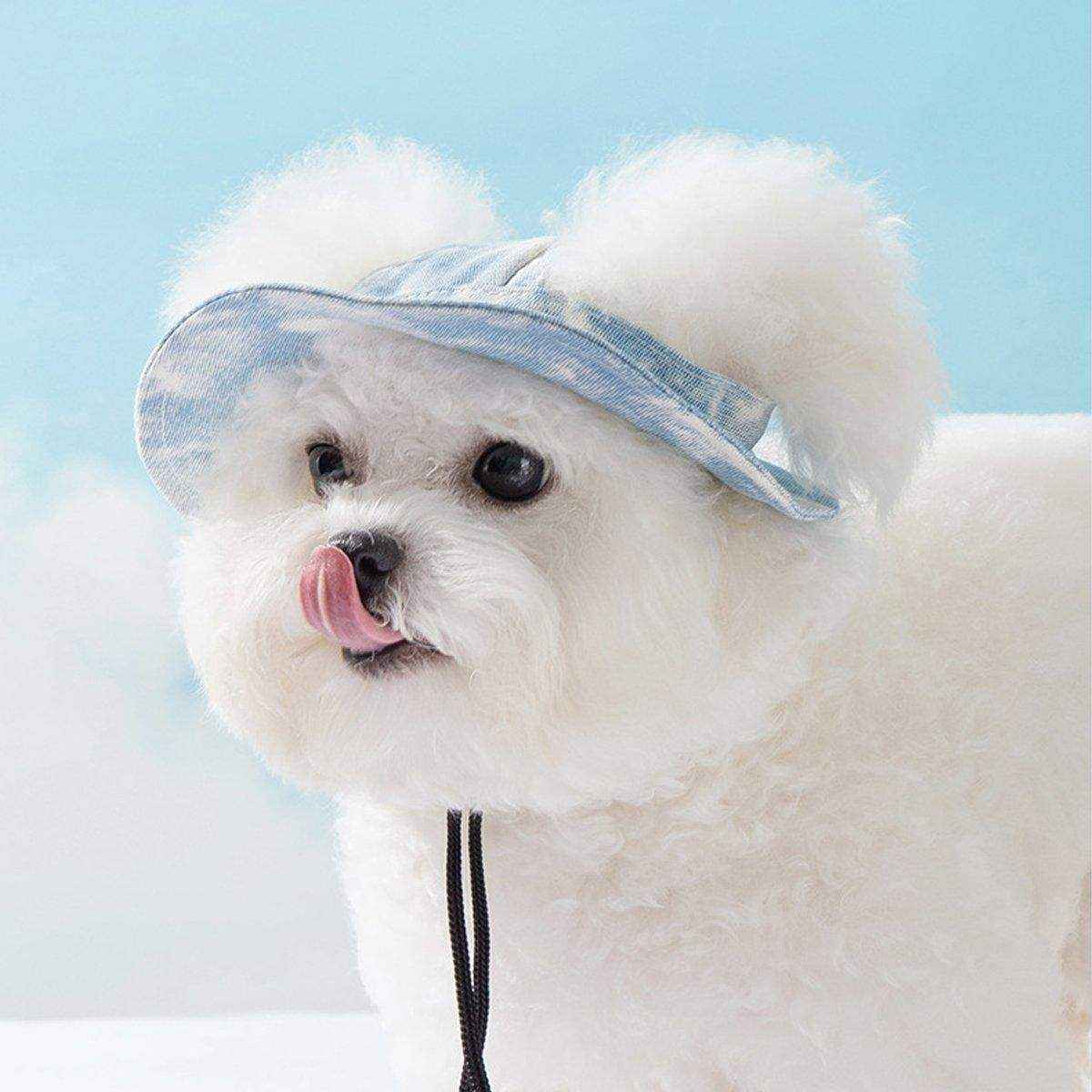 Pet Hat Cute Leaky Ears Anti-shedding Adjustable Fisherman Hat