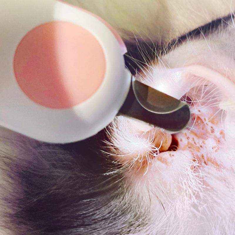 LED Pet Nail Clippers with Light - Safe & Precise Dog and Cat Clippers