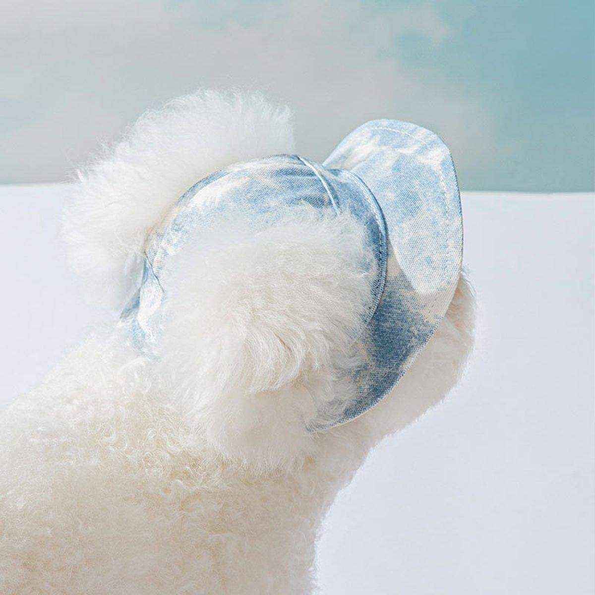 Pet Hat Cute Leaky Ears Anti-shedding Adjustable Fisherman Hat