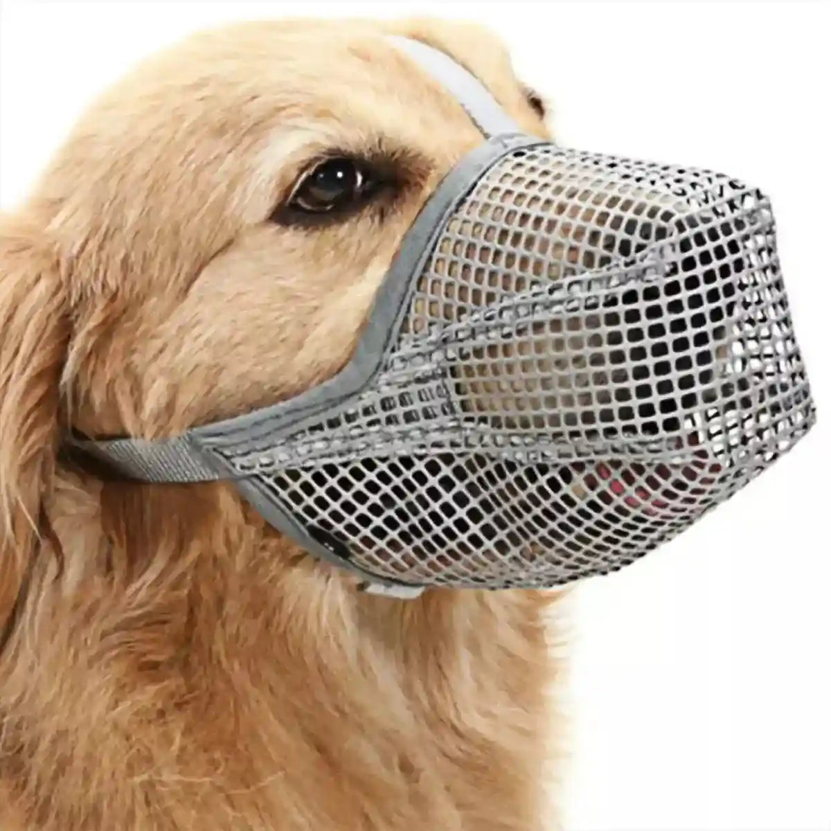 2PCS Adjustable Mesh Dog Muzzle Set Breathable Anti-Bite Muzzles