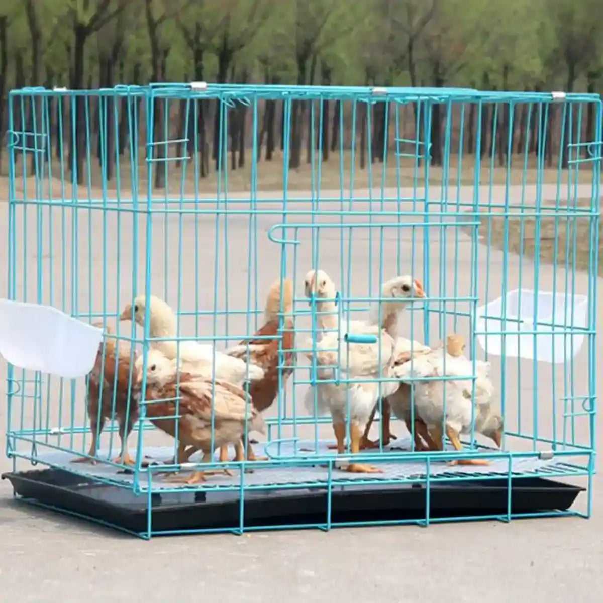 Foldable Iron Dog Cage Durable & Spacious Crate with Pull-Out Tray