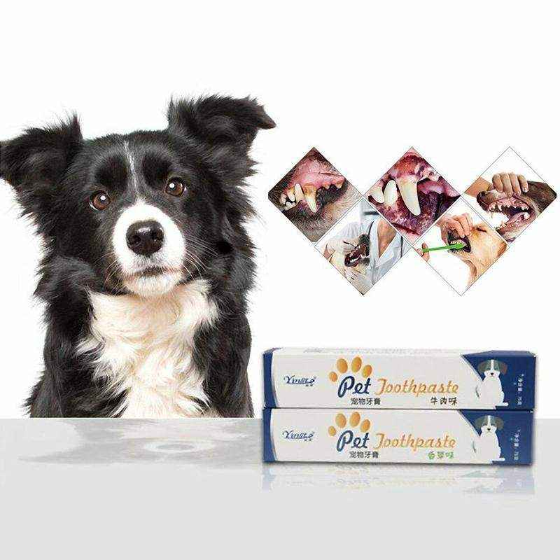 Pet Dog Cat Toothpaste Teeth Cleaning Vanilla