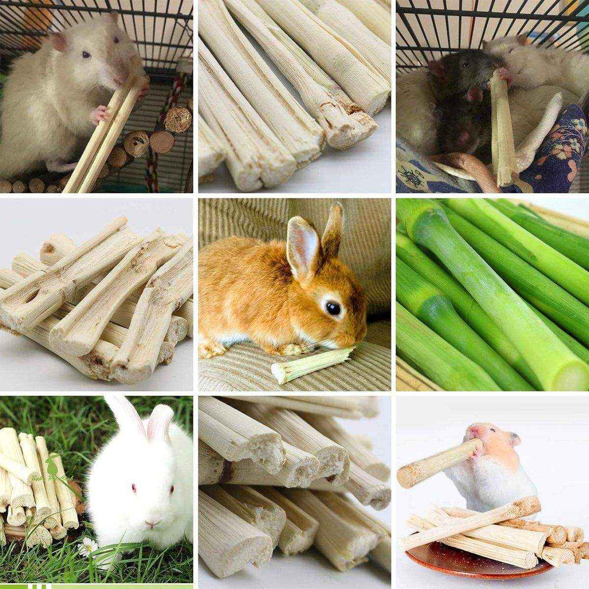 Natural Apple Sticks for Rabbits and Small Pet Chew Toy